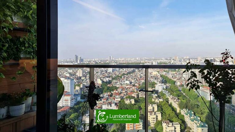 Ngắm nhìn những ánh sao lớp lánh trên bầu trời giữa đêm