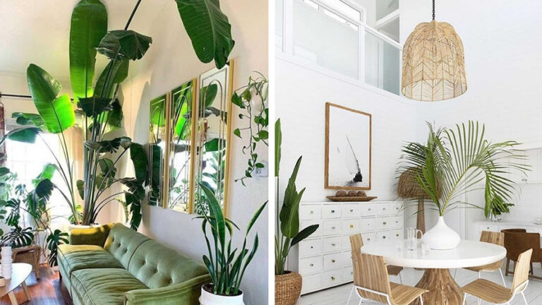 Những chậu cây xanh tăng thêm phần sinh động cho ngôi nhà